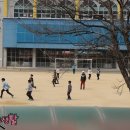 숭덕초등학교 이미지