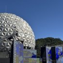 월드컵참누리1(관리동앞) | [과천 가볼만한곳] 서울랜드 데이트 💕 놀이기구·공연·가을밤 기록