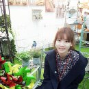 고구마하우징 네이버블로그