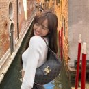 아바 | 내돈내산 | 셀린느 미디엄 아바 트리옹프백 후기 🛍️👜