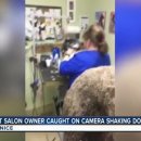 애견미용실 이미지