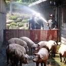 재남농장 이미지