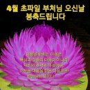 중원사 이미지