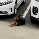 서해대학부속유치원 이미지