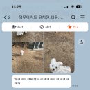 멈무아지트 이미지