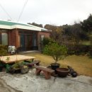 별별,당근이야기 이미지