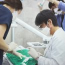 참잘하는치과의원 이미지