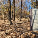 의령 죽전리 고분군 이미지