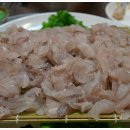 세꼬시 티스토리