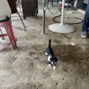 득량수산 이미지