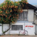 맘스터치 자인점 이미지