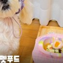 브로콜리 펫푸드 이미지