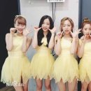 채원 이미지