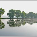 반곡저수지 이미지