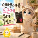 희망텔레콤 - 거제시 성산로 10 | 앤텔레콤 선불폰 요금제 어떤 게 좋나요? LG 유심 개통 후기