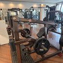 급처 뉴텍 토쳐 인클라인 해머 100 카피 해머스트렝스 풀오버 100 스탠딩 체스트 35 이미지