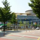 남창원동물병원 | 신선식품 일번가 가음동 남창원 농협에서 1등급 한우 채끝살로 소고기 팽이버섯 말이 해 먹었어요