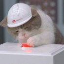 언덕위 작은집 이미지