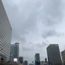 골인제약(주) | 2025 서울마라톤(동아마라톤) 첫 풀코스 후기!