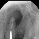 밝은e치과의원 이미지