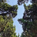 클래식과 함께 유럽을 걷다 | 칭다오 가볼만한곳 BEST! 팔대관 풍경구 분위기가 유럽 거리