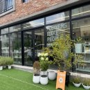 어반가든스튜디오 이미지