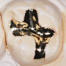 미소린치과의원 이미지