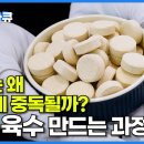 # 한알육수(고체육수) 제조과정.. 이미지