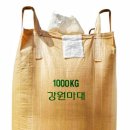 강원원주마대 이미지