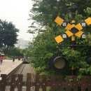 무등산자락 무돌길 15길 푸른길 이미지