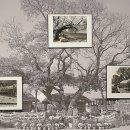 야생초공원 테니스장 이미지