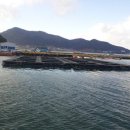 한 수산 이미지