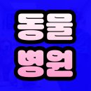 진솔동물병원 | 동물병원 간호사 자격증 따고 되는 방법 정리