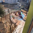 포항양덕초등학교 이미지