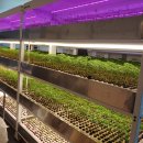 호정타워 이미지