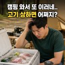 DC마트 - 서구 도마2길 71 | 캠핑장 냉동 만두가 안 녹네?새로 산 차량용 DC 냉장고 한 달 후기