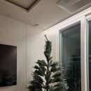 pet45무3149 | 집꾸미기 크리스마스 트리 180cm 한달 후기 | 트리 설치하는 방법, 트리 가지 펴는 법