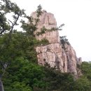 남해조경농원 이미지