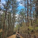 상모리-7 | 제주한달살기｜아기랑 송악산 둘레길 후기, 유모차 가능? 소요시간·난이도 총정리