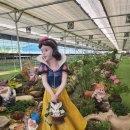 용설농장 이미지