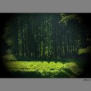 여행스케치B 이미지