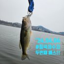 영인 낚시터 이미지