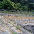 새만수농장 이미지