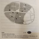 관덕정과 제주 목관아를 찾아서~~문탐13기 기본(B조 시연): 진행 김시환 이미지