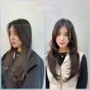 해운대 장산역 여자머리 추천 보하비헤어 해운대장산점