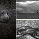 우리 두 그리다 이미지