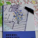 새들한의원 이미지