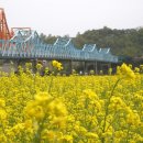 남지초등학교 이미지