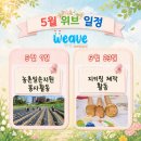 농업인회관(자원봉사센터) | [활동] 우리는 씨 뿌리는 사람, 농촌봉사활동🍅 | 위브(Weave)