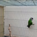 아성2농장 이미지